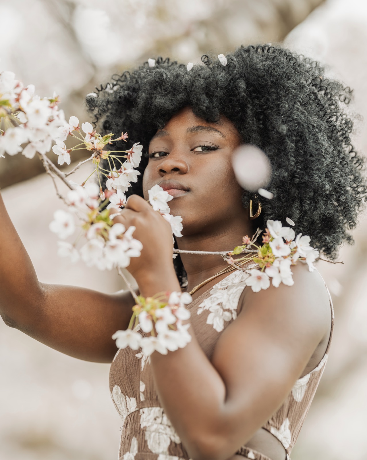 Touching blossom branches