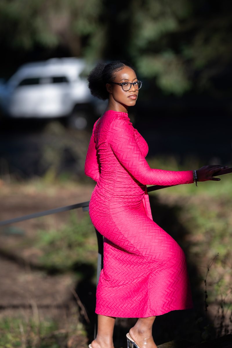 Fuchsia dress on a forest stair rail in low sun